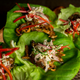 Lettuce wraps with filling